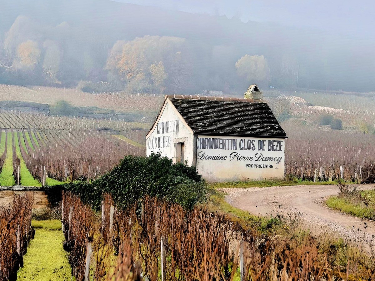 Focus su Gevrey-Chambertin