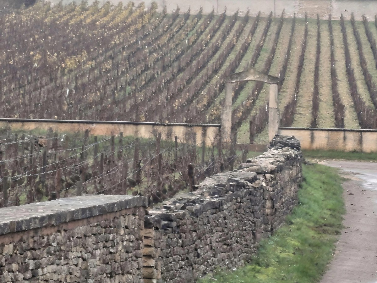 La Route des Grands Crus della Côte&nbsp;d’Or