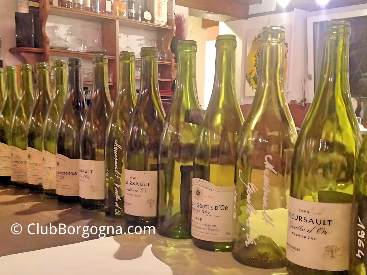 17 annate di Meursault  1er cru La Goutte d’Or di&nbsp;Buisson-Charles